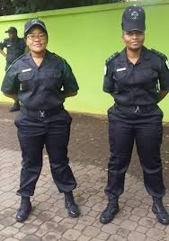 Protective Services Officer